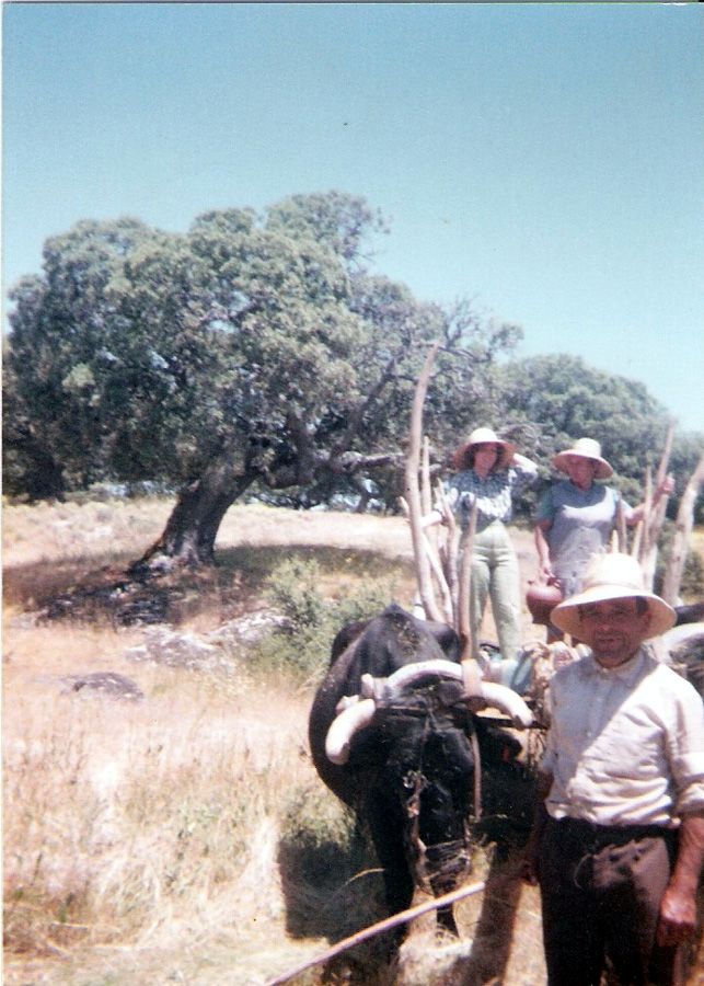 Paquita, Patro y Paco en la yunta