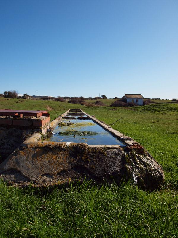 El abrevadero de los lavaderos