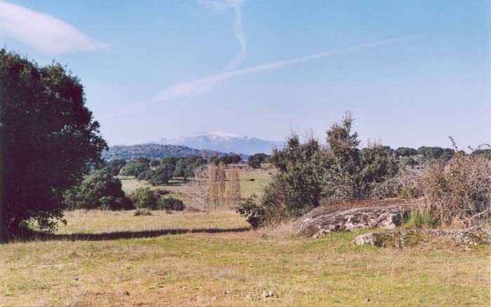 Camino carril Piedrahita