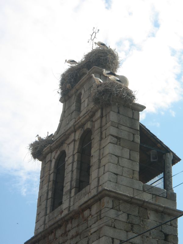 Torre de la iglesia