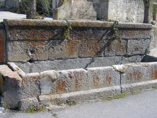 El bar (de las vacas)