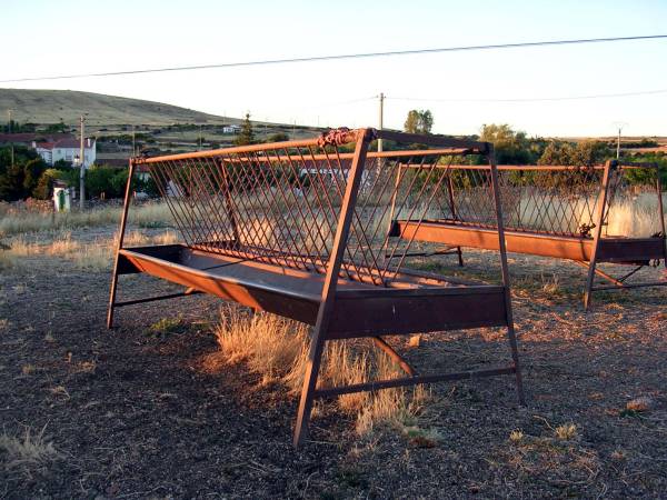 El restaurante (de la ovejas)