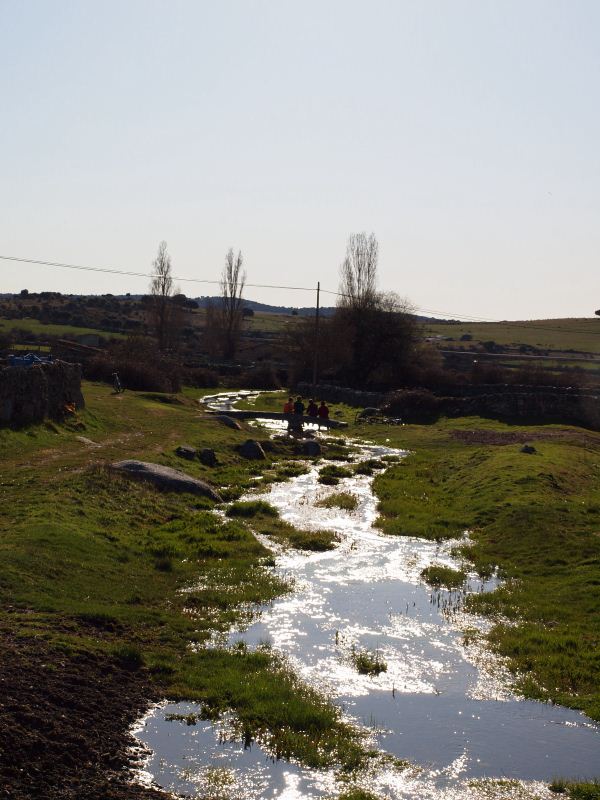 Rio desde el puente de Piedrahita