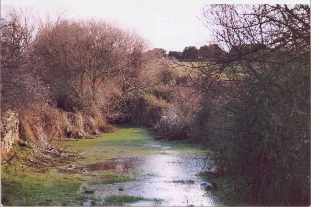 río Cantarranas